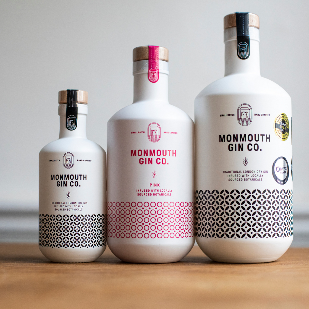 Welsh Gin Tasting Experience
